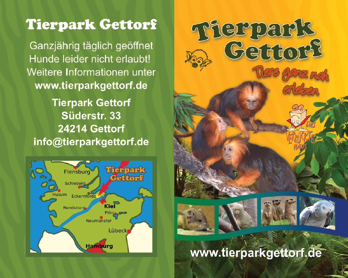 Gettorf_12.2024.jpg